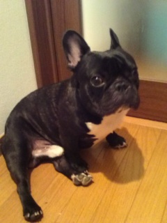 ���@���҂����B