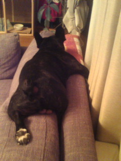 �ŋߕςȂƂ��ŐQ�܂��B