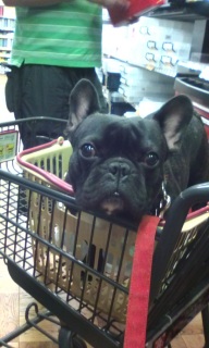 �z�[���Z���^�[�ɗ�����B